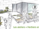 Les ateliers Herbiers en Scène de l’Institut Klorane 
