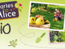 Ateliers du potager pour enfants Charles & Alice au Jardin d'Acclimatation