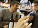Salon des vins des vignerons independants 2019 à l'Espace Champerret