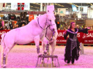 Concours Equi’Star au Salon du Cheval de Paris 2016