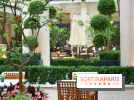 Café Jeanne : restaurant et belle terrasse au cœur du Park Hyatt Paris-Vendôme