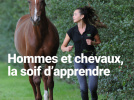 Journée du cheval pour les portes ouvertes du haras de la Cense