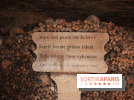 Les Catacombes de Paris