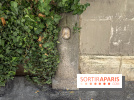 Le saviez-vous ? Il reste une seule borne milliaire à Paris, et elle est rue de Vaugirard