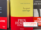 Prix Femina 2025 : Nathacha Appanah récompensée pour La Nuit au cœur