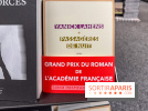 Grand Prix du roman de l’Académie française 2025 : Yanick Lahens récompensée pour Passagères de nuit