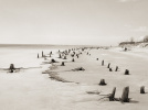 Corps littoral : l'exposition de Camille Guichard à la galerie Rachel Hardouin