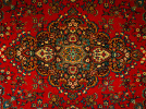 Nuitn Blanche 2026 Jardin des Rosiers Joseph Migneret