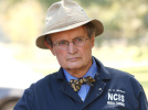 NCIS : décès de David McCallum, le médecin légiste Donald "Ducky" Mallard, à l'âge de 90 ans