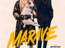 Marave sur Prime Video : Ramzy Bedia et Redouane Bougheraba dans une comédie MMA
