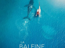 La Baleine et le musicien : Rone dialogue avec les cétacés au cinéma