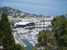 Festvial de Cannes Visuel générique
