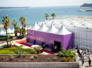Festival de cannes visuel générique