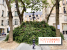 Paris : une première "forêt urbaine" va voir le jour à Montparnasse avant 2024