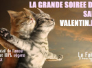 La grande soirée des sans Valentin.e.s 