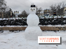 La Neige à Paris