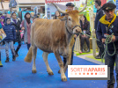 Salon de l'agriculture 2018