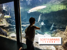 L'Aquarium de la Porte Dorée se renouvelle