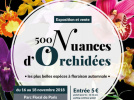 Exposition-vente d'orchidées au Parc Floral de Paris