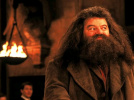 Harry Potter : Robbie Coltrane, l'acteur qui jouait Hagrid, est mort à 72 ans