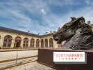 Nature, le spectacle équestre aux Grandes Ecuries du Domaine de Chantilly