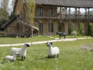 Les Lalanne à Trianon : exposition de sculptures en plein air au Château de Versailles