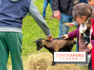 Festival de la Terre 2026 à Montesson (78) : marché des saveurs, ateliers jardinage & ferme pédagogique