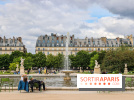 Visuel Paris jardin des Tuileries