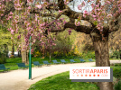 Visuel Paris arbres en fleurs, jardins, parc