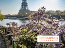 Visuel Paris glycine Tour Eiffel Seine