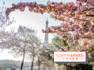 Visuel Paris Tour Eiffel cerisiers en fleurs
