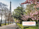 Visuel Paris Tour Eiffel cerisiers en fleurs