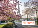 Visuel Paris Tour Eiffel cerisiers en fleurs