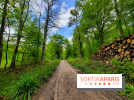 Visuel Paris balade forêt île de france