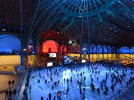 Le Grand Palais des Glaces
