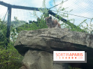 Parc Zoologique de Paris 2019