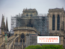 Notre Dame de Paris, les photos des dégâts
