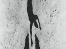 Curieux Transfo croise des bêtes sauvages : rencontre culturelle apéritive