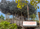 Visuels Disneyland Paris - La Cabane des Robinson