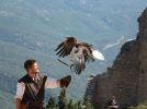 aigle spectacle