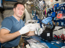 Espace : que fait Thomas Pesquet dans la Station spatiale internationale ?
