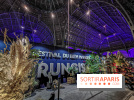 Rungis investit le Grand Palais, les photos 