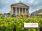Une Jonquille pour Curie au Panthéon