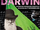 darwin paris