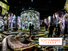Photos : Exposition immersive Jimmy Nelson : The last sentinels à l’Atelier des Lumières 