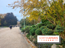 Visuels Parc Monceau à Paris 8e arrondissement  - automne