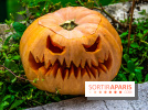 Halloween 2020 : comment creuser sa citrouille ? Le tuto