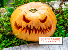 Halloween 2020 : comment creuser sa citrouille ? Le tuto