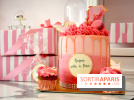 Celine Cake Design Paris
