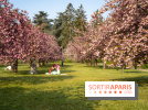 Le Parc de Sceaux et ses cerisiers en fleurs